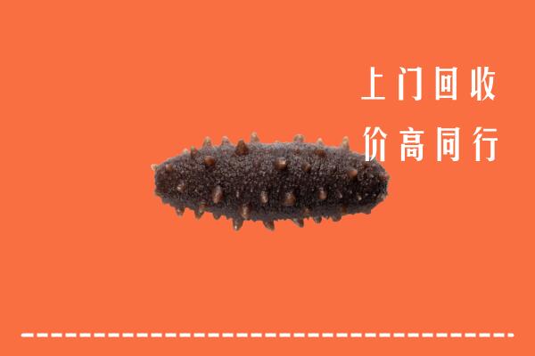高价求购：白云区回收海参