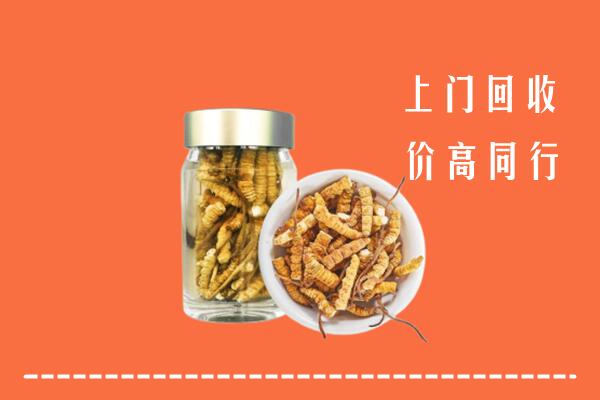 白云区高价回收冬虫夏草