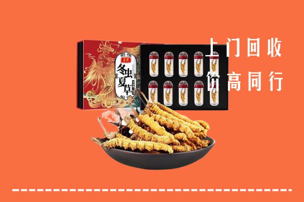 白云区回收虫草